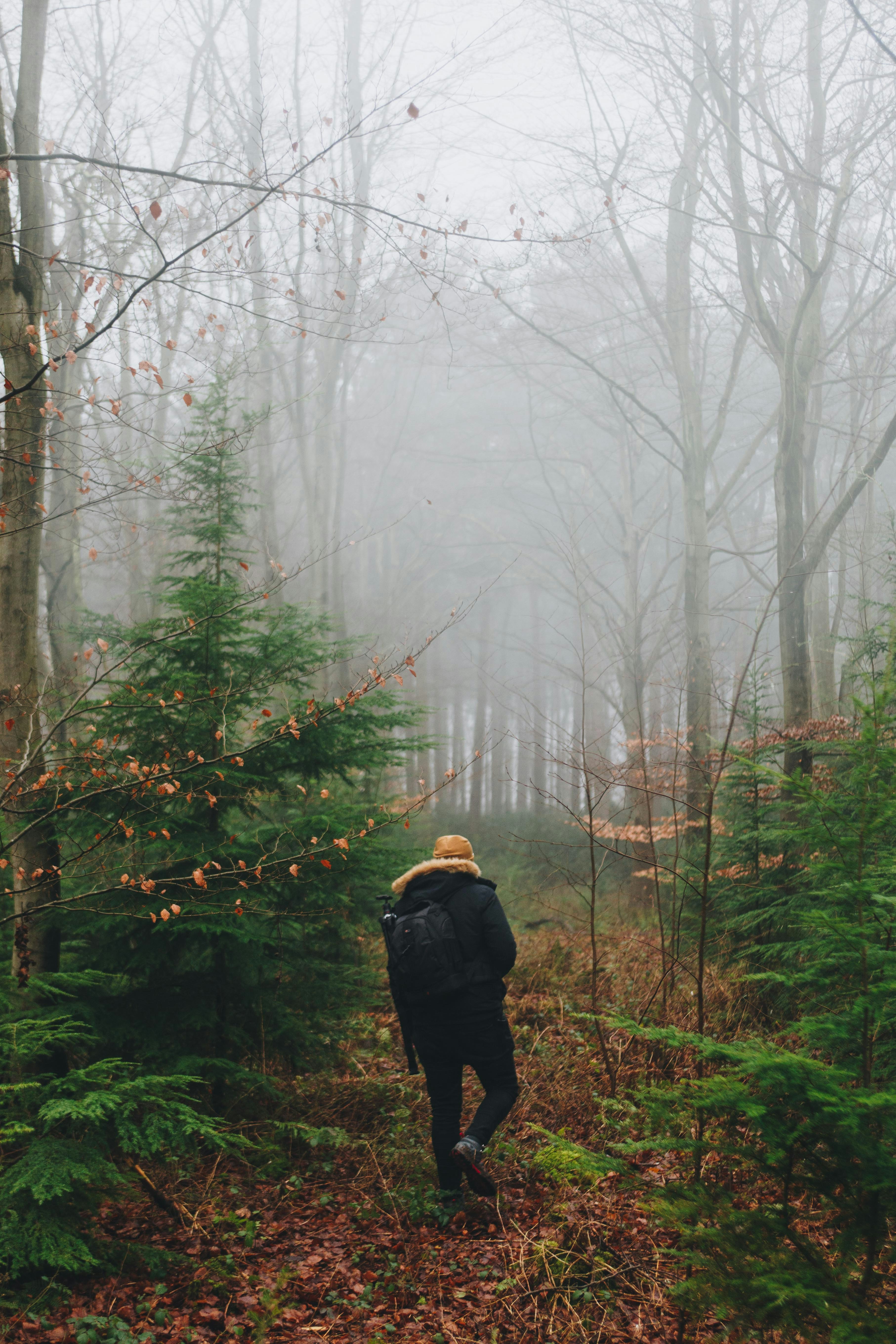 man in between trees inside fog during daytime